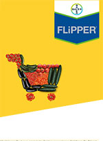 Flipper-Info