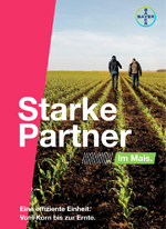 Starke Partner im Mais