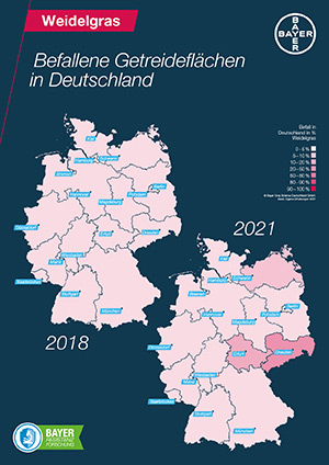 Weidelgras-Verbreitung zwischen 2018-2021