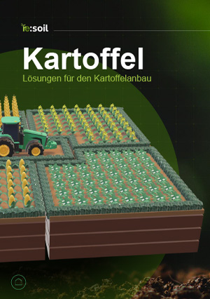 Kartoffel