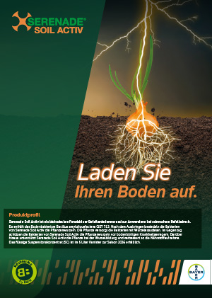 Flyer Serenade Soil Activ Zwiebel