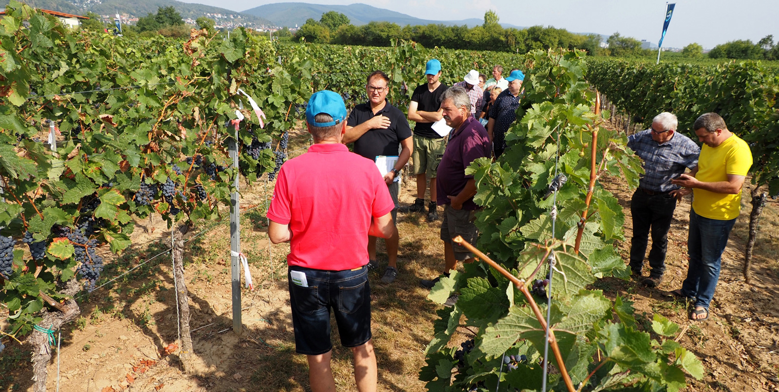 Weinbautage 2023