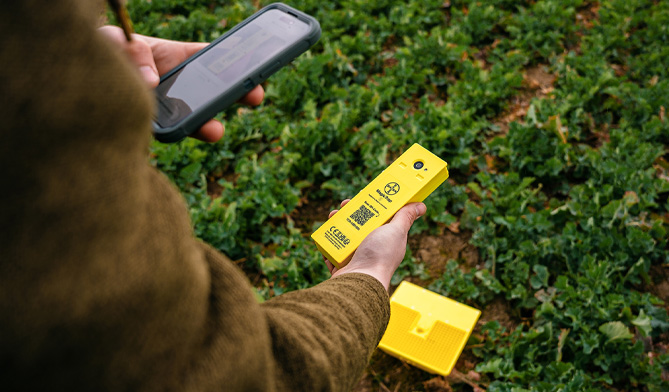 Einrichtung der MagicTrap 2