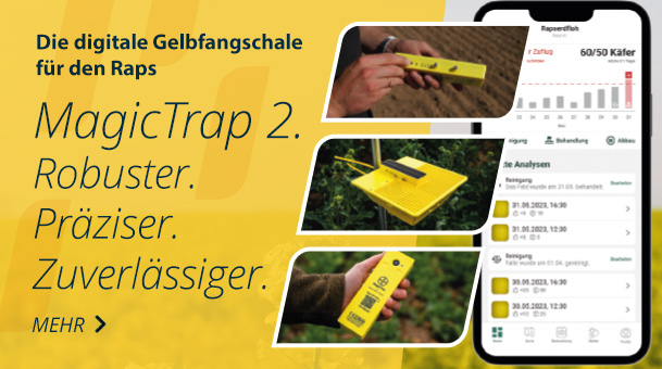 MagicTrap 2