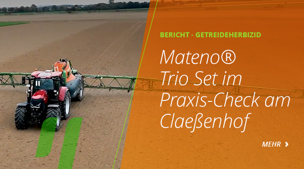 Praxistest Mateno Trio Set