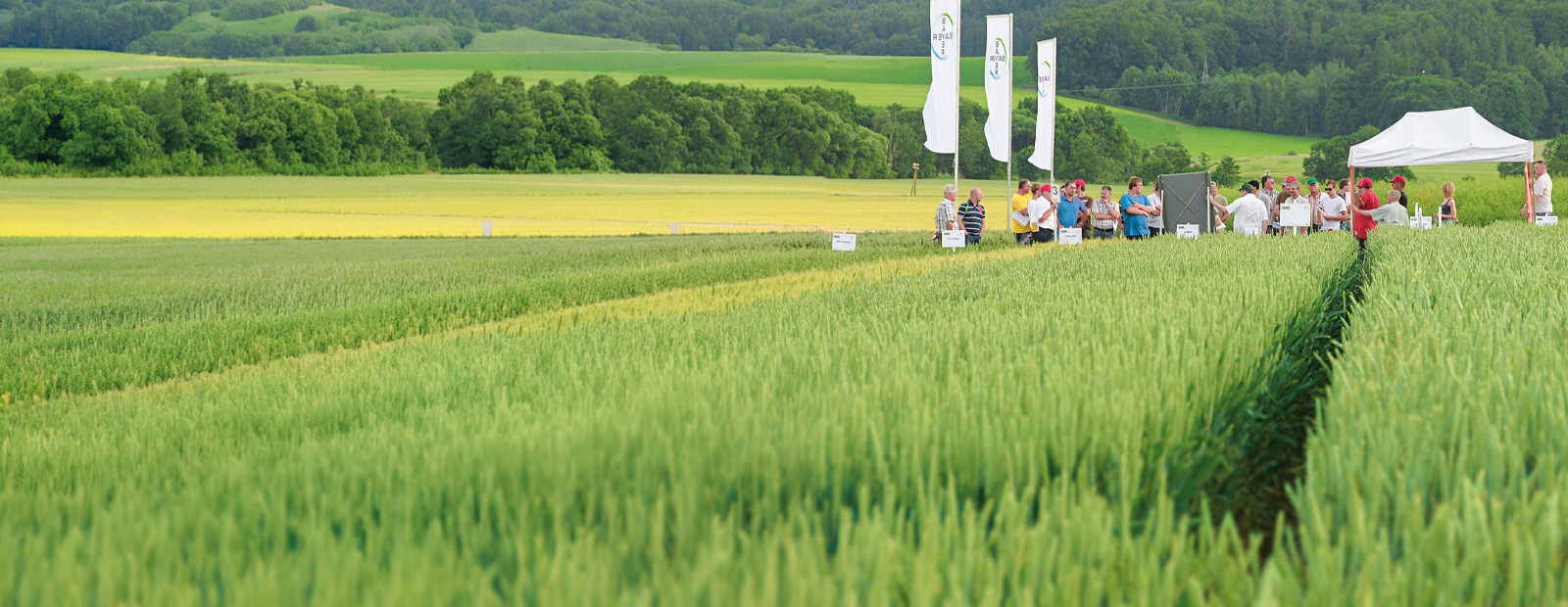 Feldtage Frühjahr 2026