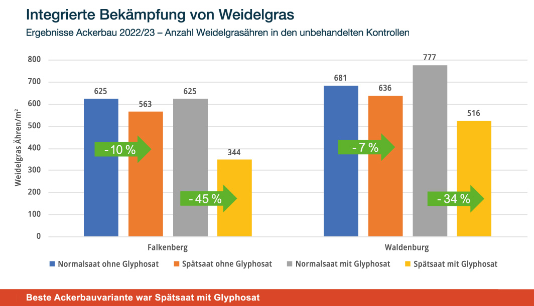 Abb. 1: Ergebnisse Ackerbau 2022/23 – Anzahl Weidelgrasähren in den unbehandelten Kontrollen
