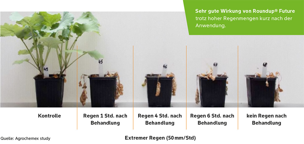 Sehr gute Wirkung von Roundup Future