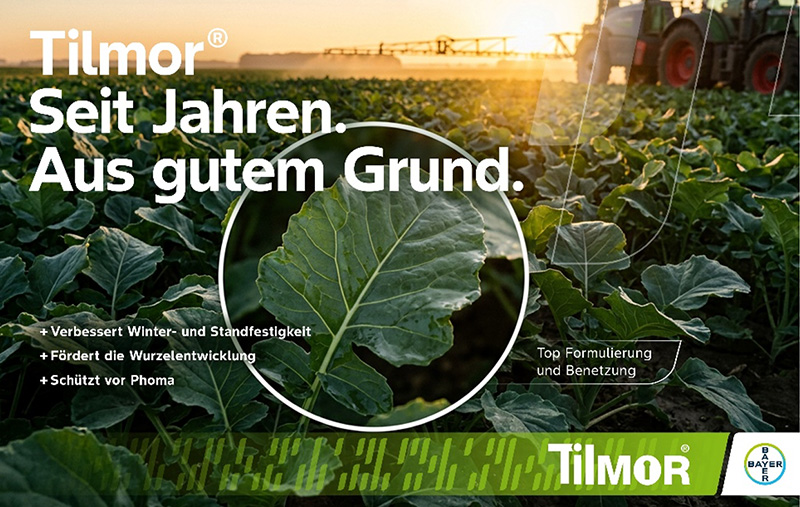 Tilmor - Seit Jahren. Aus gutem Grund.