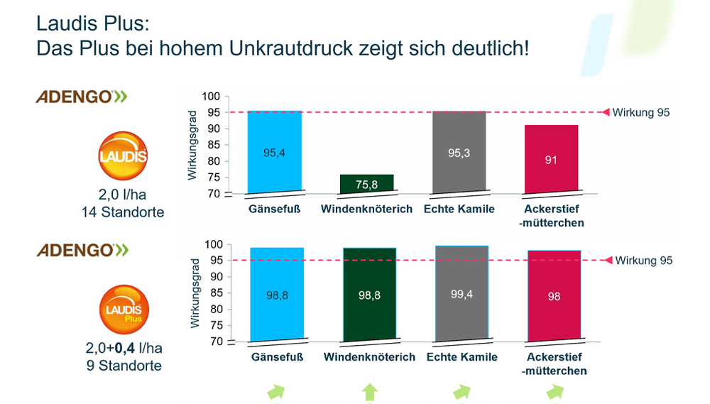 Laudis Plus: Das Plus bei hohem Unkrautdruck zeigt sich deutlich!