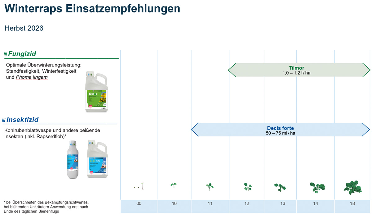 Winterraps Einsatzempfehlung