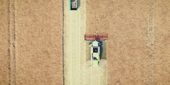 landwirtschaft, agrar, ackerbau, natur, nachhaltig, koselau, carl von müller, farming, 