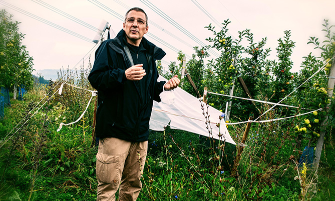 Dr. Jürgen Esser in Apfelplantage der Obstfarm Pietzsch & Winkler im sächsischen Kreischa.