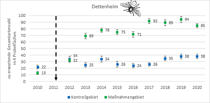 Entwicklung der Artenzahl von Wildbienen auf den Flächen des Bolzhofs in Dettenheim