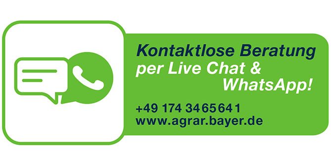 WhatsApp Beratung unter 0174 - 34 65 64 1