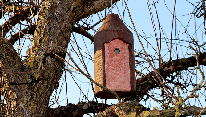 Nistkasten im Baum