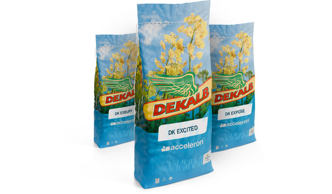 Produktabbildung Rapssaatgut