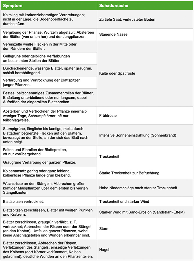 Tabelle: Symptome abiotische Schadursachen