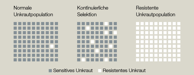 Grafik: Entwicklung von Resistenzen