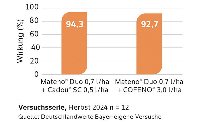 Wirkung Mateno Trio Set auf Ackerfuchsschwanz