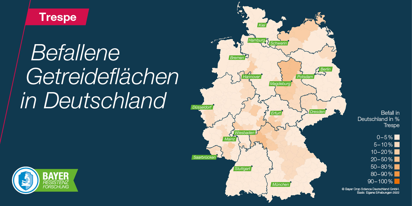 Verbreitung Trespe - Befallene Getreideflächen in Deutschland