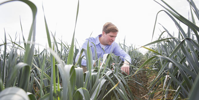 bayer, landwirtschaft, pflanzenschutz, bio