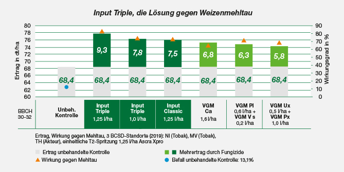 Versuchsergebnis Input Triple Mehtau