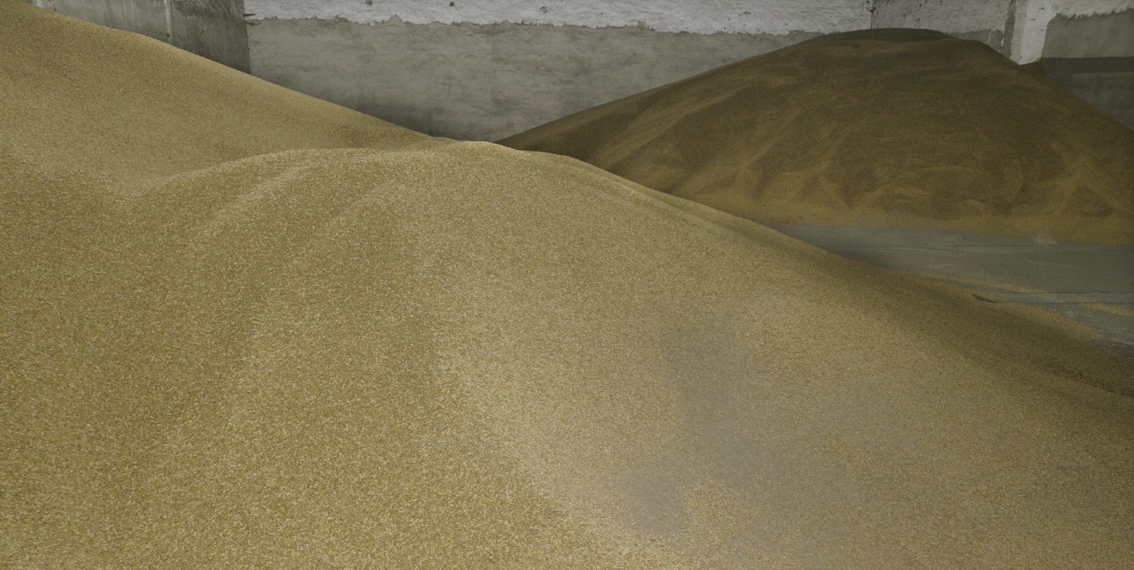 Vorratsschutz im Lager