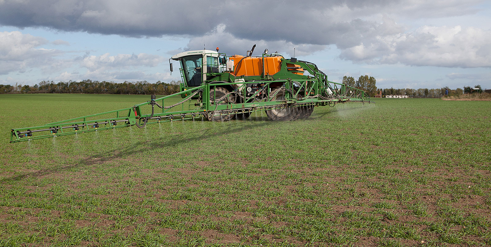 Pflanzenschutz im Winterweizen