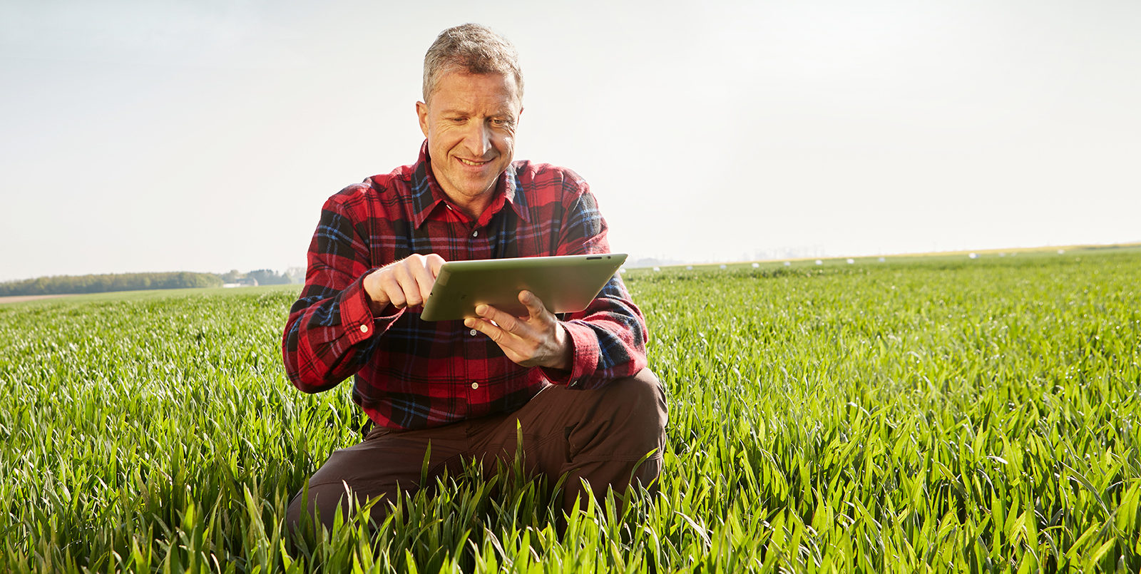 Beratung online bei Bayer, Wetter Aktuell Email