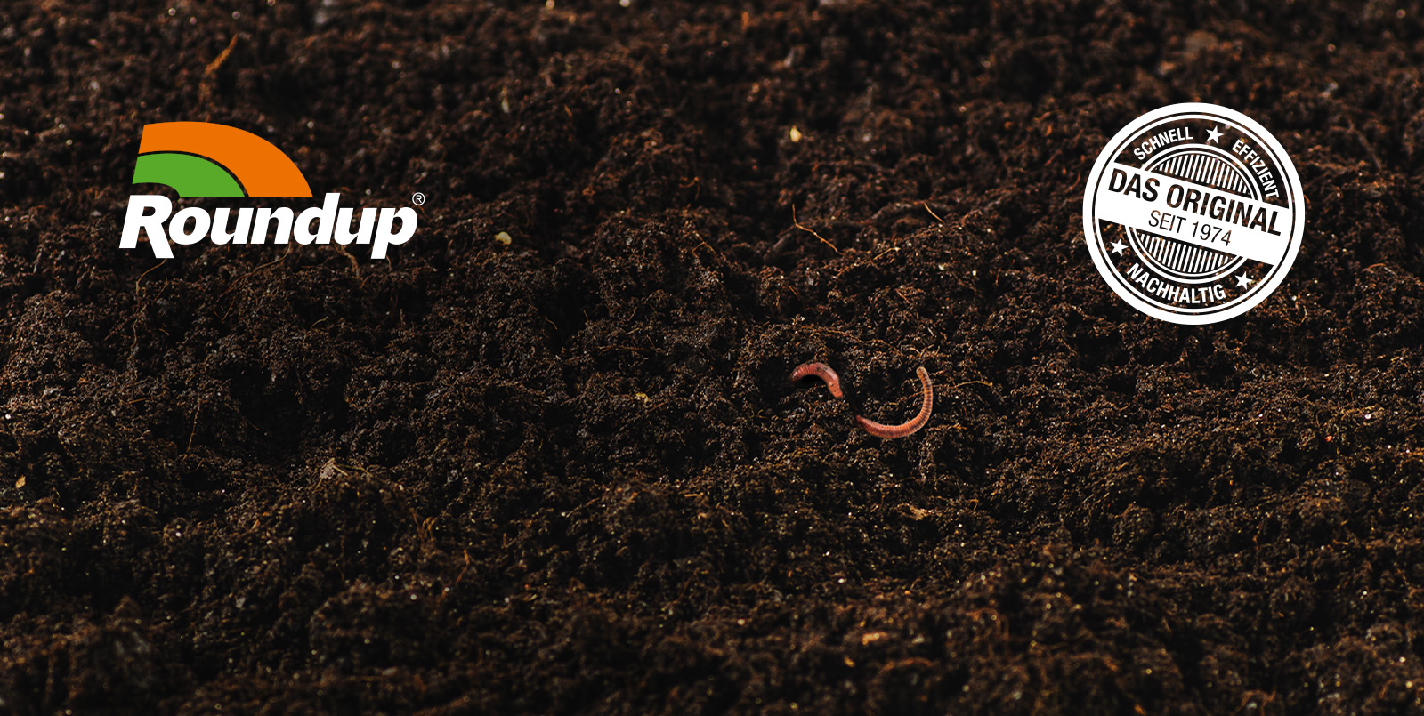 Roundup - Wie Sie sehen, sehen Sie nichts