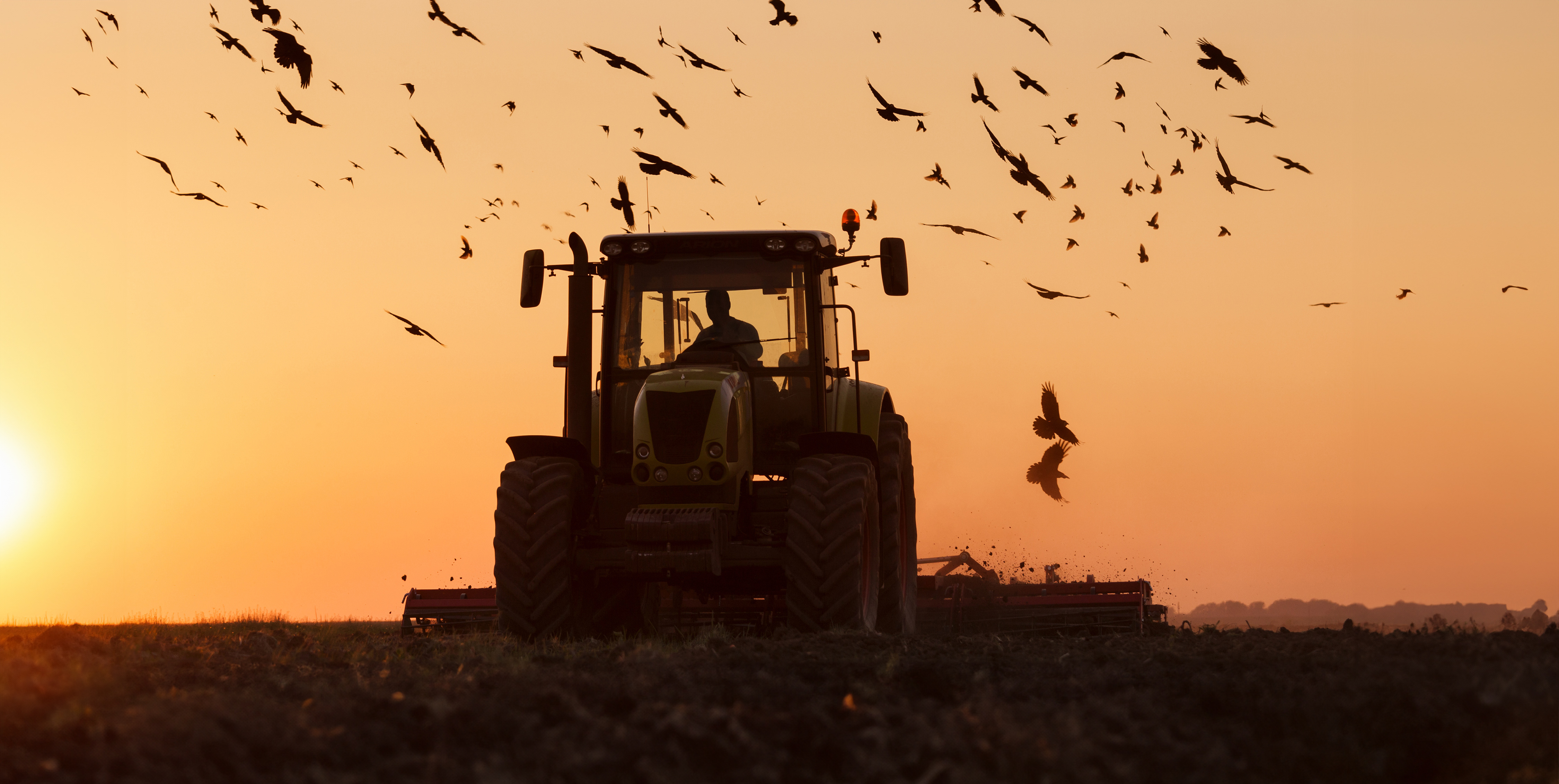 Traktor auf Acker Sonnenuntergang