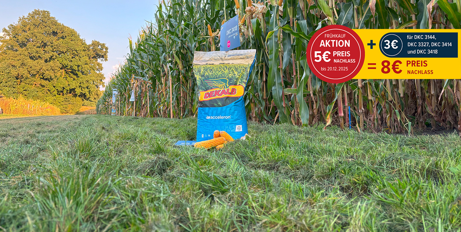 DEKALB Frühkaufaktionen 2025