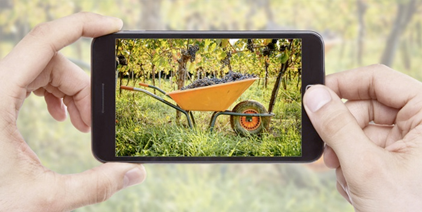 Fotowettbewerb "Wir lieben Weinbau"